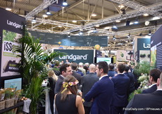 Busy at the booth of Landgard.
